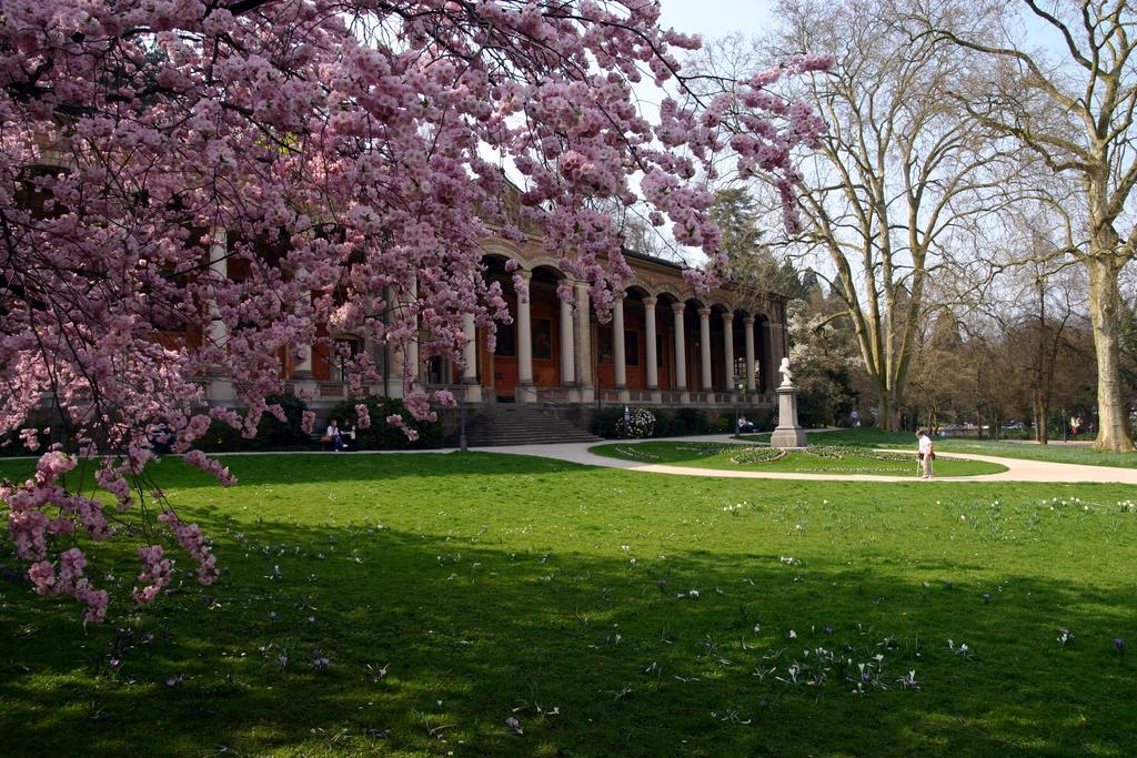Apparthaus Pfeifer Baden-Baden Luaran gambar